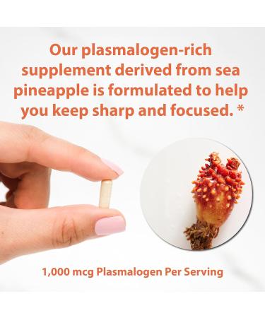 Sun Chlorella Sun Neuro Nootropic Brain Supplement - Daily Memory Concentration & Focus Supplement for Women & Men - Natural Plasmalogen Boost from Sea Pineapples - 180 Capsules - Buy Online on GoSupps.com