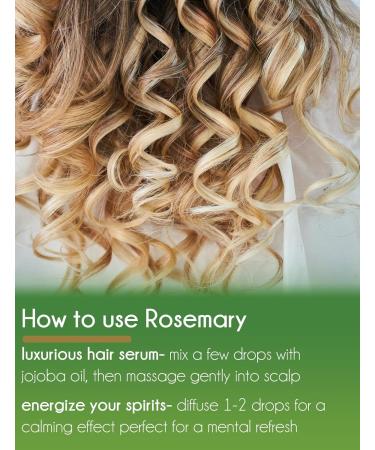 GreenHealth Rosemary Essential Oil - 8 fl oz (237 ml) Glass Bottle with Cap - 100% Pure Essential Oil - Buy Online on GoSupps.com