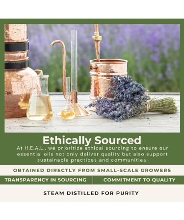 H.E.A.L.'s Pure Grapefruit Essential Oil 1oz - 100% Natural Aromatherapy Oil for Diffusers Home Fragrance and DIY Projects - Buy Online on GoSupps.com