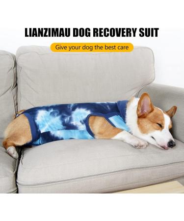 Buy Lianzimau Dogebody Suit | Post-Surgery Protective Wear for Male Dogs | XS Tie-Dye Blue Dog Shirt - Buy Online on GoSupps.com