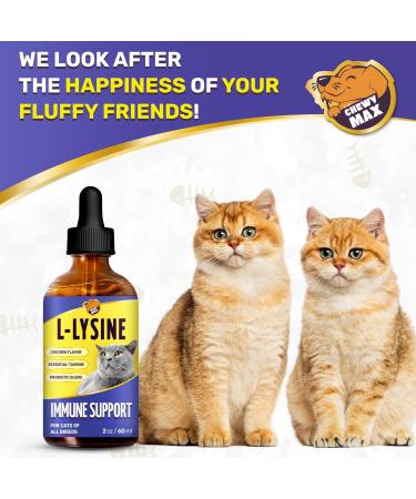 L Lysine for Cats & Kittens Helps with Watery Eyes Sneezing Cough Runny Nose Natural Cat Antibiotic Supplement with Taurine Vitamins for Eye Function & Immune Support Chicken Flavor 2 oz Herbal - Buy Online on GoSupps.com
