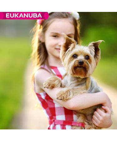 Eukanuba Dog Dry Food Yorkshire Terrier Chicken 2kg - Buy Online on GoSupps.com