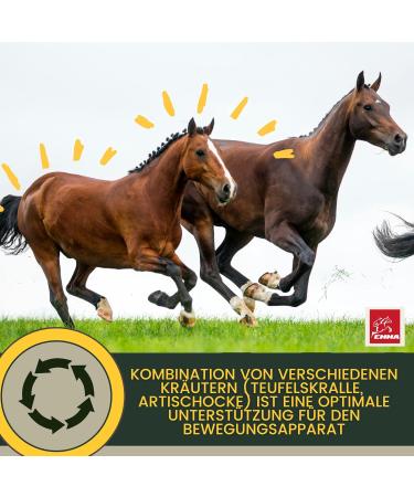 Devil's Claw Horse 1L Joint Plus Natural Devil's Claw Horses I Horses Liquid Joints for Support of Musculoskeletal System & Joints in the Case of Horse Osteoarthritis - Buy Online on GoSupps.com