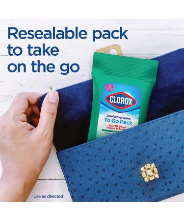 Clorox Disinfecting Wipes, 9 Wipes/Pack (Pack of 24) - Bleach Free, White Fresh Scent - Buy Online on GoSupps.com
