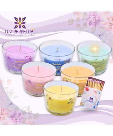 Box of 6 Scented Gift Candles for Women | Aromatherapy Soy Wax Candle Set | Perfect for Family & Friends | 40 Hours Long-Lasting Burn - Buy Online on GoSupps.com