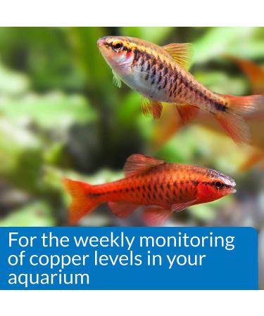 API Copper Test Kit - 90 Tests | Aquarium Water Testing - Buy Online on GoSupps.com