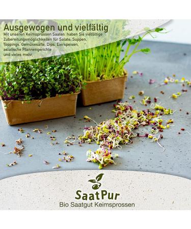 SaatPur BIO Keimsprossen Set 5 Sorten Asia Mix | Bockshornklee Alfalfa Mungo Senf Porree & Schnittknoblauch | Internationaler Versand - Buy Online on GoSupps.com
