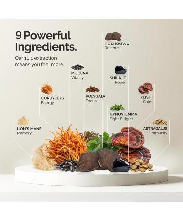 Mushroom Coffee Alternative Superfood Blend 10X Concentrated Extract with Lion s Mane Reishi & Cordyceps Energy & Focus Support Premium Supplement Powder 30 Servings Vanilla and Caramel - Buy Online on GoSupps.com