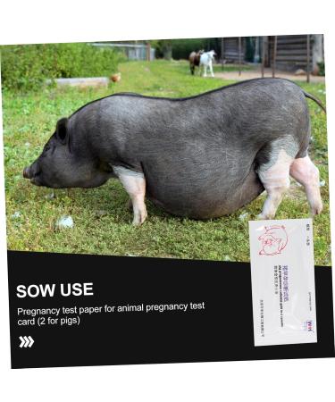 FRCOLOR 6 Pcs Pig Pregnancy Test Paper - Early Detection Strips for Sow & Farm Fertility Tools - Buy Online on GoSupps.com
