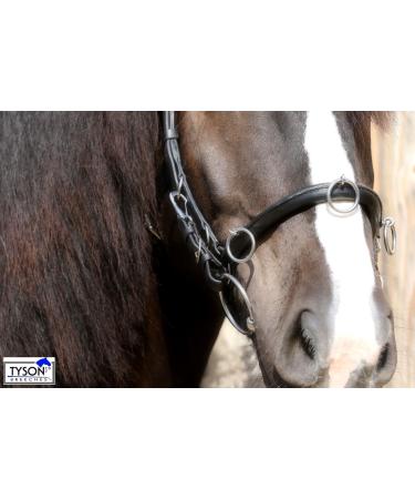 Buy Tysons Breeches Cavesson Leather - Extra Large Coldblood X-Full XX Full with Bit Attachment | Premium Quality Horse Tack - Buy Online on GoSupps.com