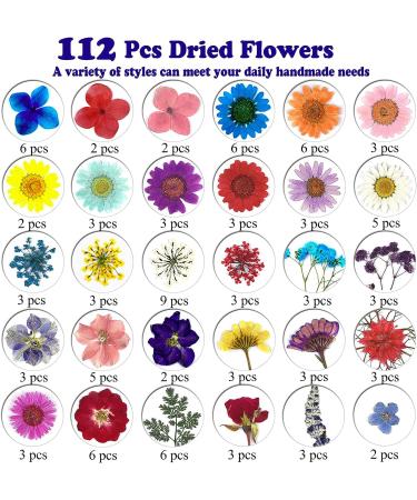 Dried Pressed Flowers Kit - 223 Pcs for Resin, Nails, Jewelry, Soap & Candle Making - Real Natural Leaves, Butterfly Stickers - LUCISKY - Buy Online on GoSupps.com