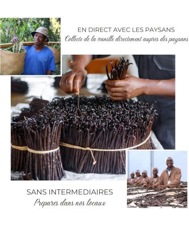 Mavany 10 BOURBON/MADAGASCAR vanilla pods Large size XL 18 to 20 cm Grand cru of gourmet quality selected for - Buy Online on GoSupps.com