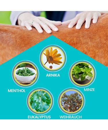 Refreshing Horse Balm 500ml Arnica Gel Extra Strength Gel I Horse Balm Tendons Ligaments & Muscles I Arnica Horse Ointment Cream Muscle Massage Gel for Horse Dog - Buy Online on GoSupps.com