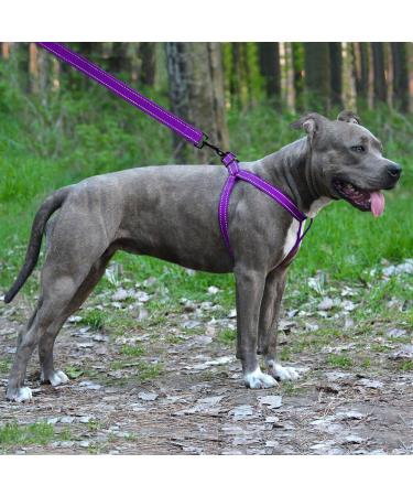 Collardirect Reflective Dog Harness - Adjustable Sizes S M L | Outdoor Walking for Dogs & Puppies | Available in Pink Black Red Purple Mint Green Orange Blue - Buy Online on GoSupps.com