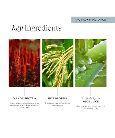 Bell-curve Curl Reviving Spray for Curly Hair Rejuvenating Protein-Infused Mist Vegan 5 Oz - Buy Online on GoSupps.com