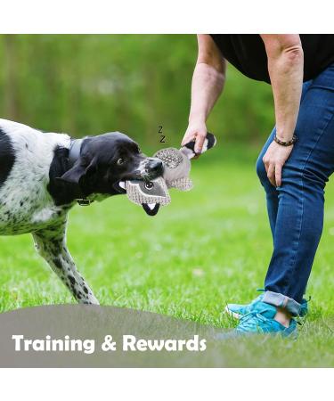 Wookiwuki Dog Toys for Small & Medium Breeds - Cute Raccoon Shape Soft Squeaker & Crinkle Tail - Fun Puzzle Toys for Puppies - Buy Online on GoSupps.com