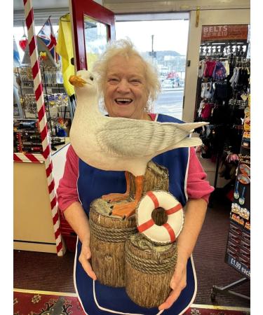 Seagull Flavour Rock As seen on Bargain Brits By The Sea Channel 5 Scarborough Novelty favour sugar stick x3 Sticks - Buy Online on GoSupps.com