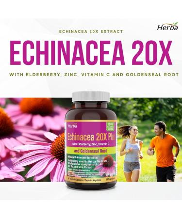 Herba Echinacea Capsules with Goldenseal Root 60 Capsules | 4500mg of Echinacea Per Day | Includes Elderberry Zinc and Vitamin C to Help Relieve Symptoms of Cold Flu and Sore Throat | Extra Strength | Support Immunity - Buy Online on GoSupps.com