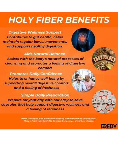 REDY 4-in-1 Premium Blend Psyllium Husk Aloe Vera Chia Seeds Flaxseeds Fiber Supplement 60 Vegan Daily Capsules Gut Health & Digestive Support 60 Count (Pack of 1) - Buy Online on GoSupps.com