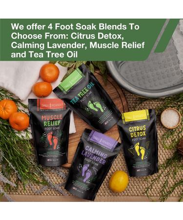 DAILY REMEDY Tea Tree Oil & Lavender Foot Soak Set - Pack of 2 | For Foot Pain, Odor, Sore Feet & Callus Softening | Made In USA - Buy Online on GoSupps.com