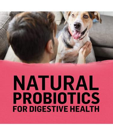 Purina Beyond Natural Adult Dog Food - Superfoods Salmon & Pumpkin Blend - 14.5 lb Small Breed - Buy Online on GoSupps.com