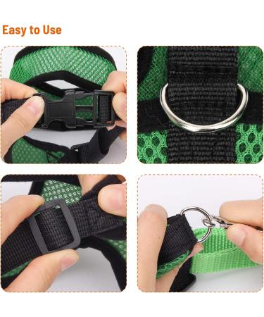 Chicken Harness with Leash Adjustable Chicken Leash for Hens Duck Puppy (Green M) Green M - Buy Online on GoSupps.com