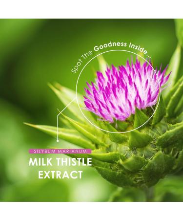 Milk Thistle Extract 7500mg - 80% Silymarin - Non-GMO, Gluten-Free, Halal - 120 Vegan Capsules - Buy Online on GoSupps.com