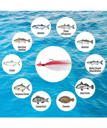 Dr.Fish Surf Fishing Tackle Kit - 269 Piece Saltwater Lures Set with Box | Bucktail Jigs, Pompano Rig, Walking Bait, Pier, Surf Casting Sea Tackle Kits | Lead Pyramid Sinkers - Buy Online on GoSupps.com