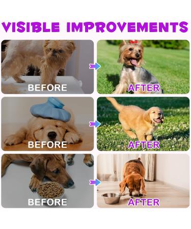 laraspi 15 in 1 Dog Vitamins Drops Dog Vitamins and Supplements for Skin and Coat Health Joints Health Immune Support Easy to Absorb (60ml) - Buy Online on GoSupps.com