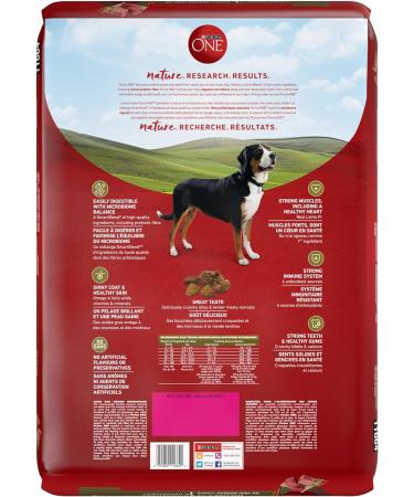 Purina ONE Dry Dog Food Lamb & Rice - 7 kg Bag 7 kg (Pack of 1) Dry Dog Food - Buy Online on GoSupps.com