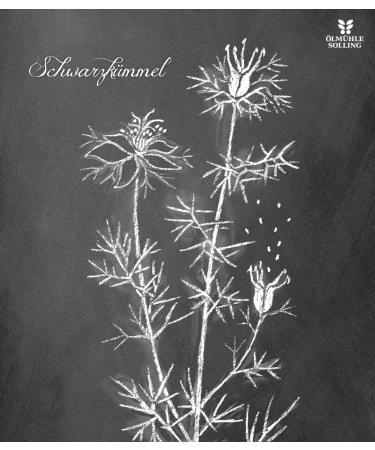  lm hle Solling Black Cumin Oil - Cold Pressed EG Organic 250ml | Premium Quality International Shipping - Buy Online on GoSupps.com