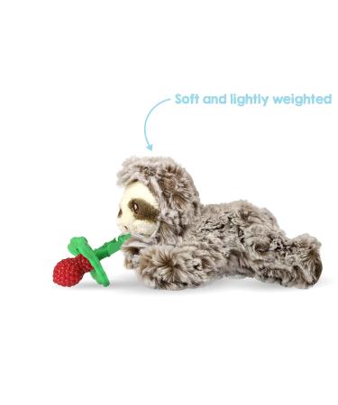 Sloth Stuffed Animal Teether/Pacifier Holder & RaZberry Plus Silicone Teether Toy - BPA-Free, Freezable, Soothing Texture for Sore Gums - Buy Online on GoSupps.com