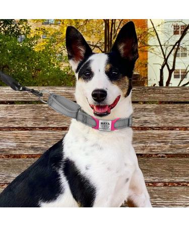 Tagme 2 Pack Personalized Dog Tags for Small & Medium Breeds - Engraved Bright Pink Custom ID Tags - Buy Online on GoSupps.com