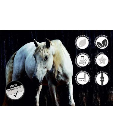 MSM Glucosamine Liquid for Horses | Joint Ligament Tendon Support | Sowi-Natur - Buy Online on GoSupps.com