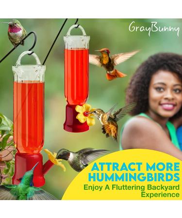 Set of 4 Mini Hummingbird Feeders with Hanging Wires Transparent Feeders for Humming Birds - Buy Online on GoSupps.com