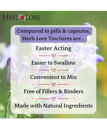 Herb Lore Skullcap Tincture Organic - Alchohol Free Liquid Sleep Aid (2 fl oz) 2 Fl Oz (Pack of 1) - Buy Online on GoSupps.com