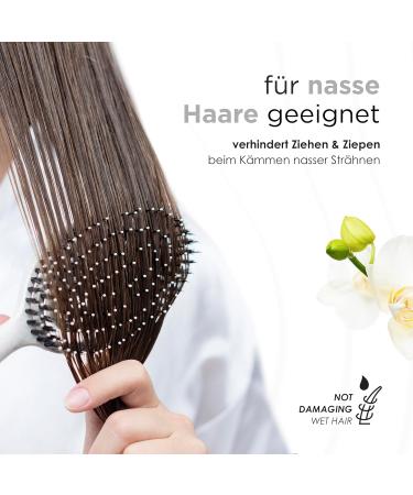 Fabcare Organic Hairbrush with Wild Boar Bristles & EBook - Professional Detangler for All Hair Types - Eco-Friendly Round Brush for Women - Buy Online on GoSupps.com