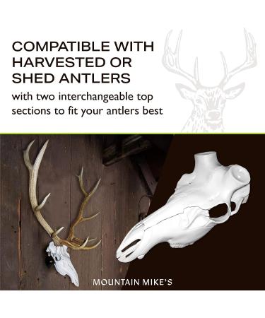 Mountain Mike's Reproductions Skull Master Universal White - Premium Deer Skull Mount - Buy Online on GoSupps.com
