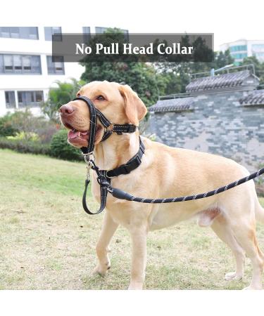 Durable Dog Head Necklace for Labrador - Soft Upholstery No Pulling Includes Training Instructions - Blue/Black - Buy Online on GoSupps.com