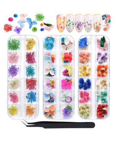 EBANKU 132PCS 3D Dried Flowers Nail Art Decals, 3 Boxes Colorful Dried Gypsophila Daisy Hydrangea Flowers Nail Art Stickers with 1 tip Tweezers , Nail Art Little Pressed Real Natural Flower Nail Art Design Decoration Suppl…