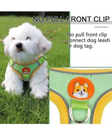 Rennaio No Pull Dog Harness & Leash Set - Adjustable Puppy Harness with 2 Linen Clips for Small & Medium Dogs - Ultra Comfortable - Green XL - Buy Online on GoSupps.com