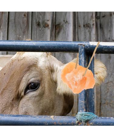 POPETPOP Salt Brick Blocks Livestock Salt Lick Animal Cow Lick Blocks Salt Block Livestock Natural Salt Small Pet Nutrition - Buy Online on GoSupps.com