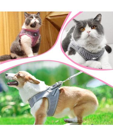 Reflective Cat Dishes with Leash - Adjustable Breakout-Proof Tableware Set for Cats & Small Dogs (Pink-Small) - Buy Online on GoSupps.com
