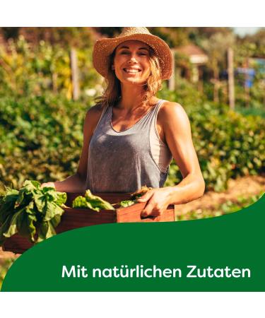 Buy Knorr Sauce for Roasts - Delicious Dark Sauce No Flavor Enhancers 3-Pack (250ml) | International Shipping - Buy Online on GoSupps.com