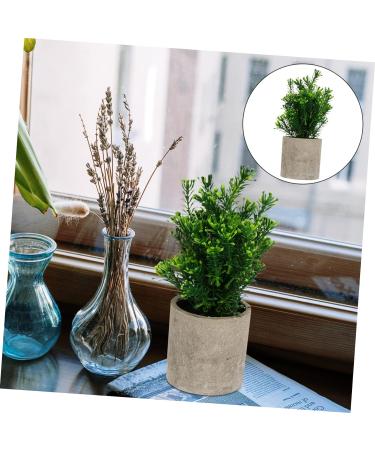 TOPBATHY False Green Plant 5 Pcs Simulated Potted Plant Pulp Potted Plants Household Fake Trees Artificial As Shownx5pcs 21.5x8cmx5pcs - Buy Online on GoSupps.com