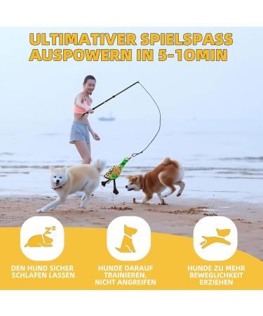 KOXXUD Dog Charm - Professional Toy for Small & Medium Dogs | Ultimate Fun & Physical Utilization - Rope Strip & Duck - Buy Online on GoSupps.com