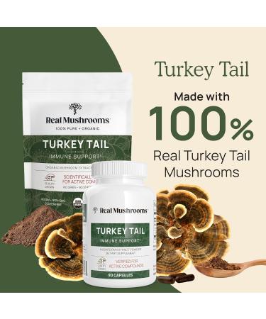 Real Mushrooms RealClarity (60ct) and Turkey Tail (90ct) Capsules Bundle - Mushroom Supplement for Mental Clarity Focus & Immune Support - Vegan Non-GMO Verified Levels of Beta-Glucans - Buy Online on GoSupps.com