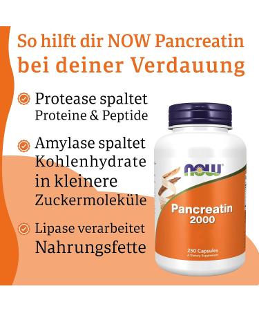 Now Foods Pancreatin 2000 - 200 mg 250 Capsules | Laboratory Tested Gluten-Free Soy-Free Non-GMO Enzyme Blend - Shop Internationally! - Buy Online on GoSupps.com