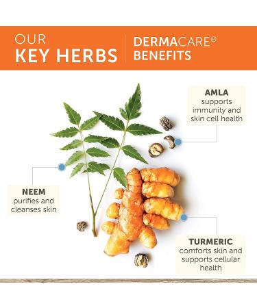 Himalaya DermaCare Neem | Clear Skin & Mild Acne | 120 Capsules | 1 Month Supply - Buy Online on GoSupps.com