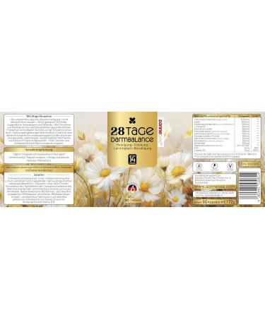 allschatz 28 days Intestinal balance nutritional supplement 90 capsules vegan glutenfree with psyllium seed bowls inulin Lglutamine bacterial cultures vitamin D3 - Buy Online on GoSupps.com